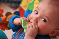 baby with a chew toy